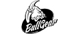 Bullgear