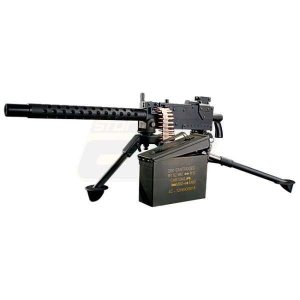 RWA M1919 AEG