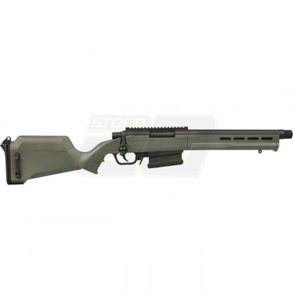 Ares Striker AS-02 Spring Sniper Rifle - Olive